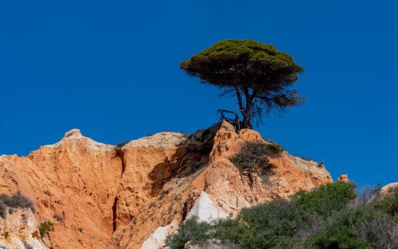 Algarve