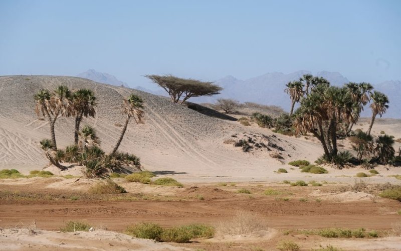 Western Region (Hejaz)