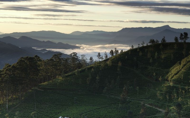The Central Highlands