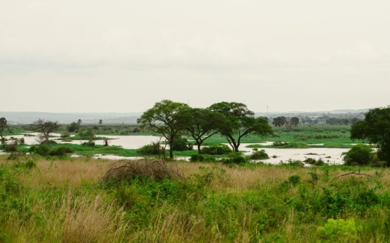 Savanes Region