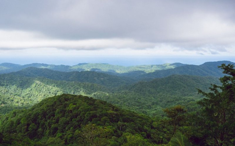 Northern Range (Trinidad)