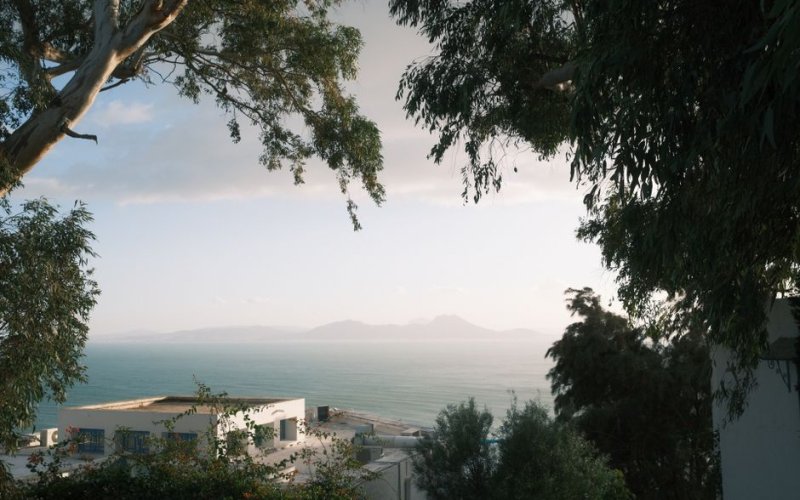 Northern Coast & Tunis
