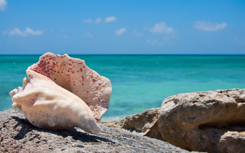 Salt Cay