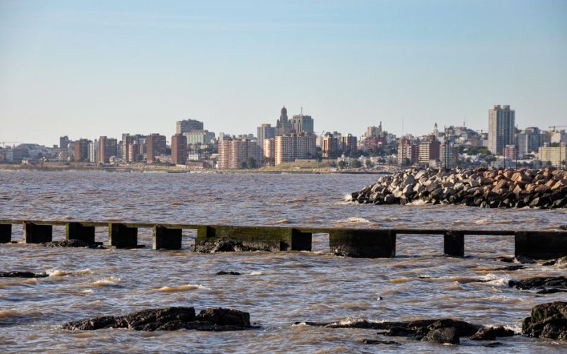 Rio de la Plata Coastline