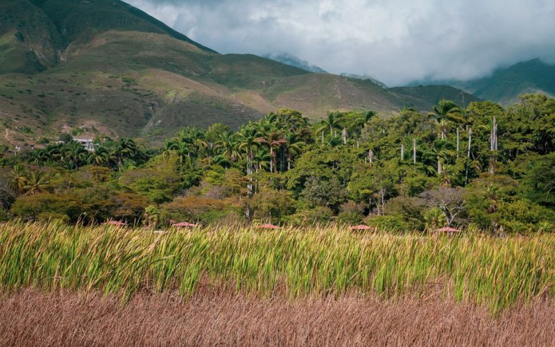 Los Llanos