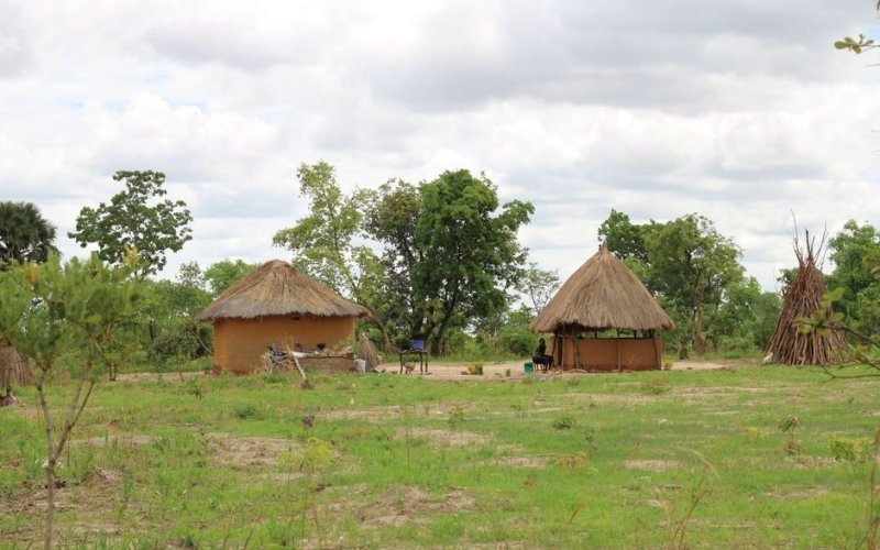 The Luangwa Valley