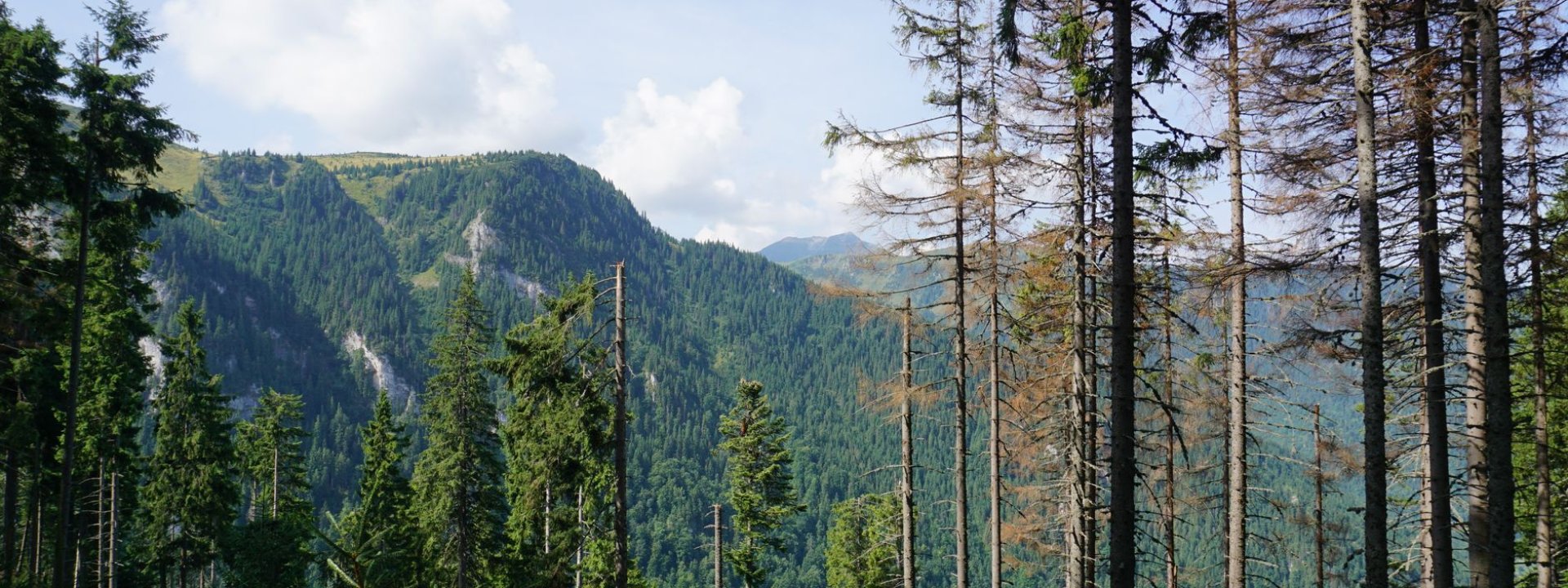 Romania