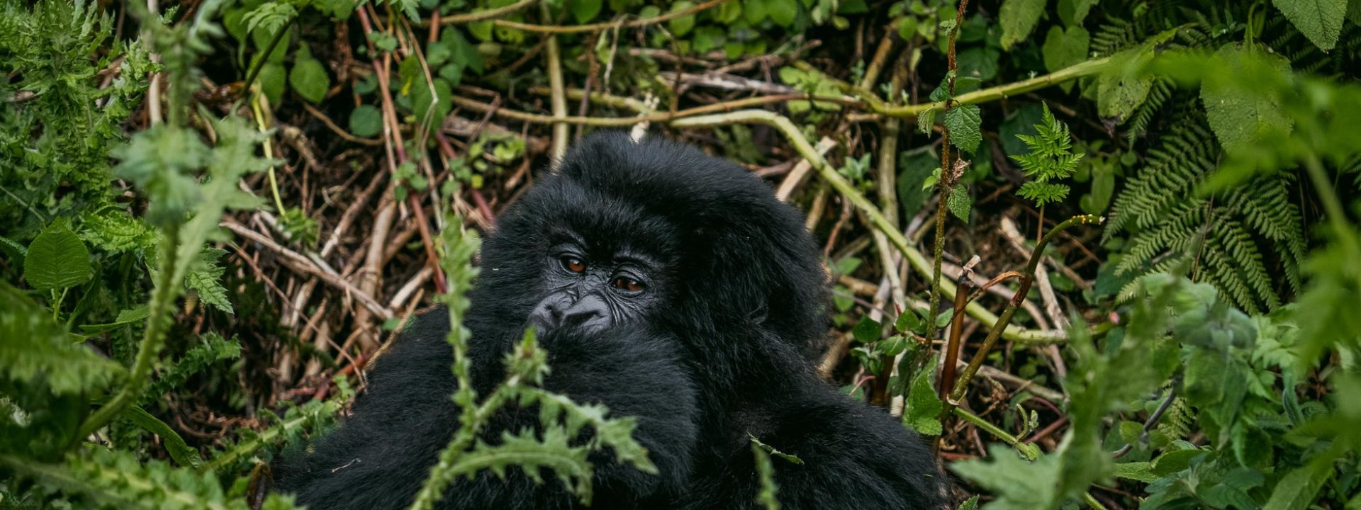 Rwanda