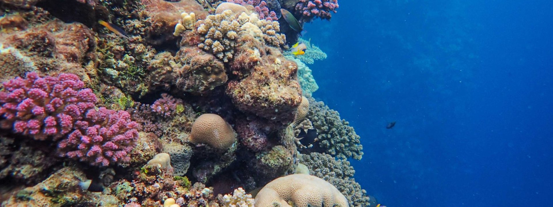 Solomon Islands