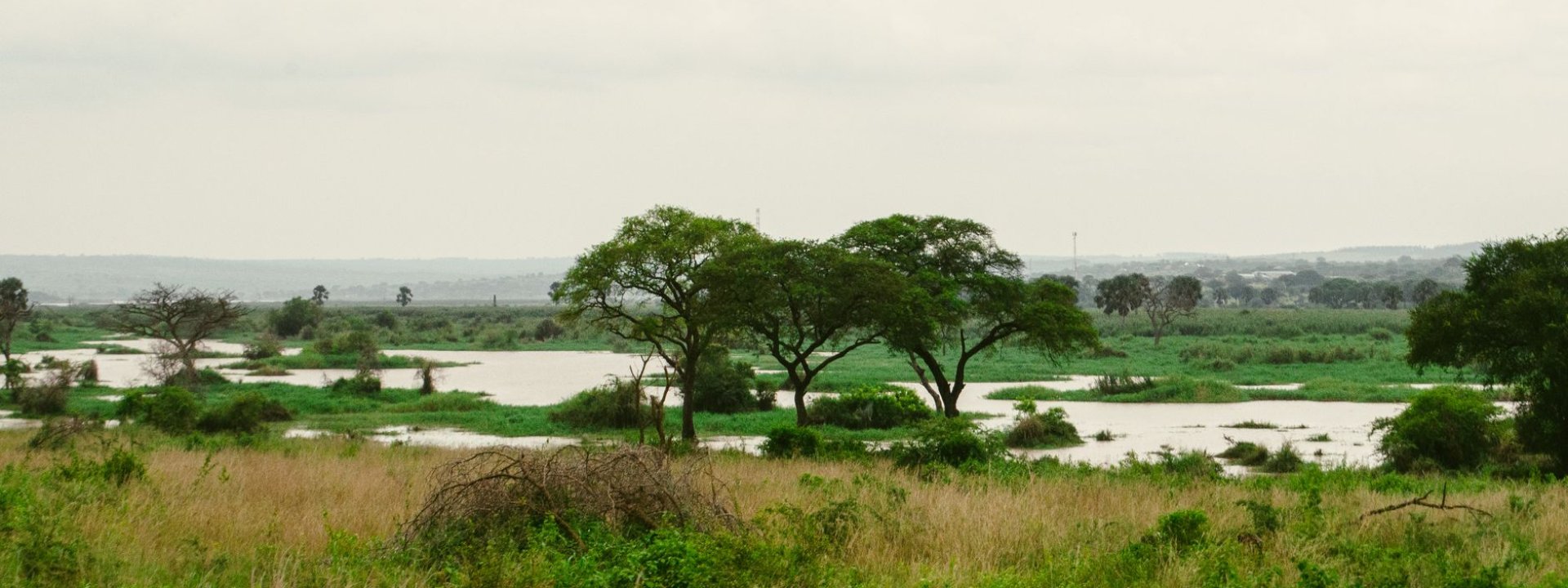 Uganda