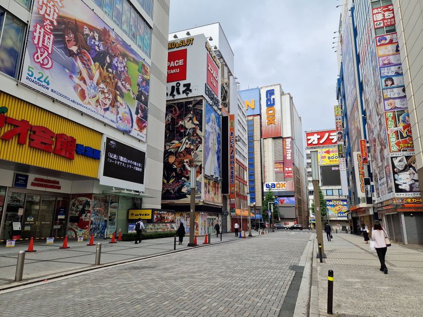 Akihabara Electric Town main exterior view