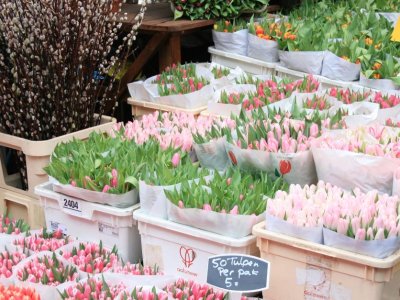 Albert Cuyp Market