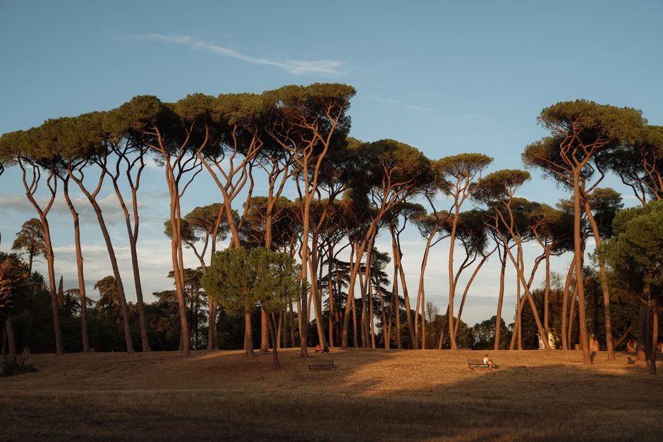 Appian Way at golden hour