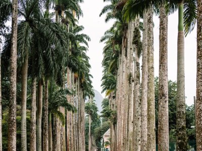 Botanical Garden