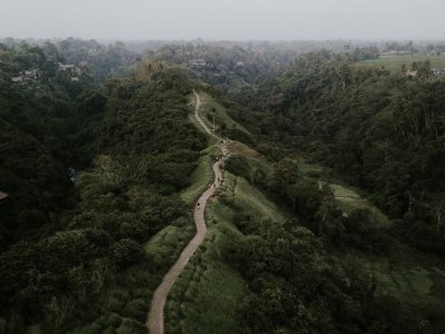 Campuhan Ridge Walk