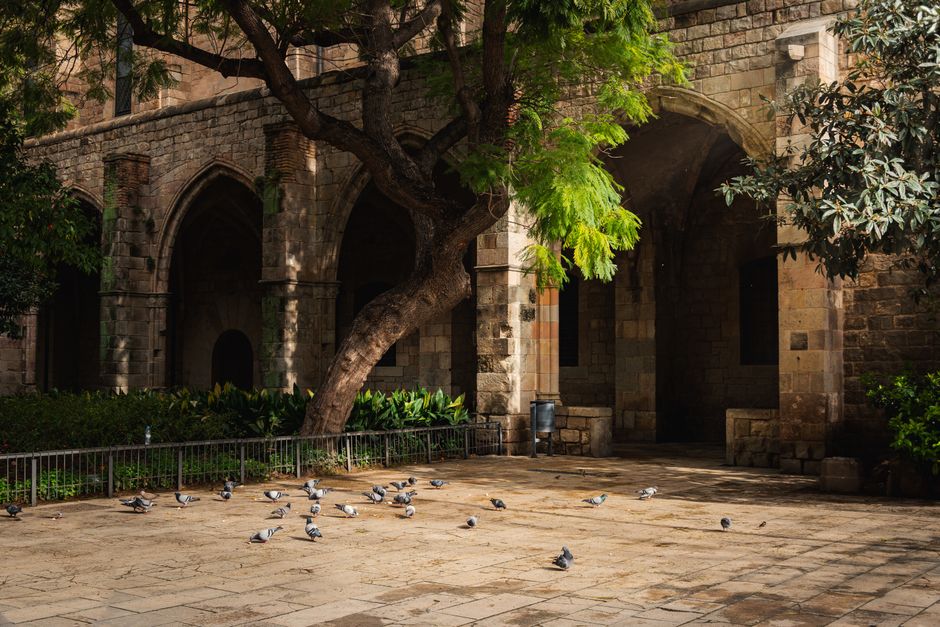 Planning a visit to Gothic Quarter