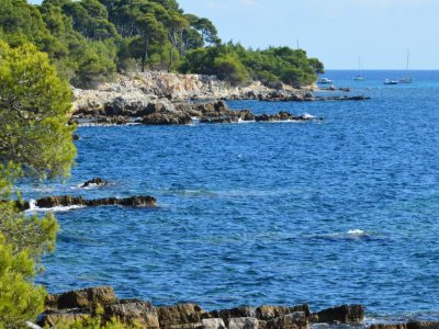 Île Sainte-Marguerite