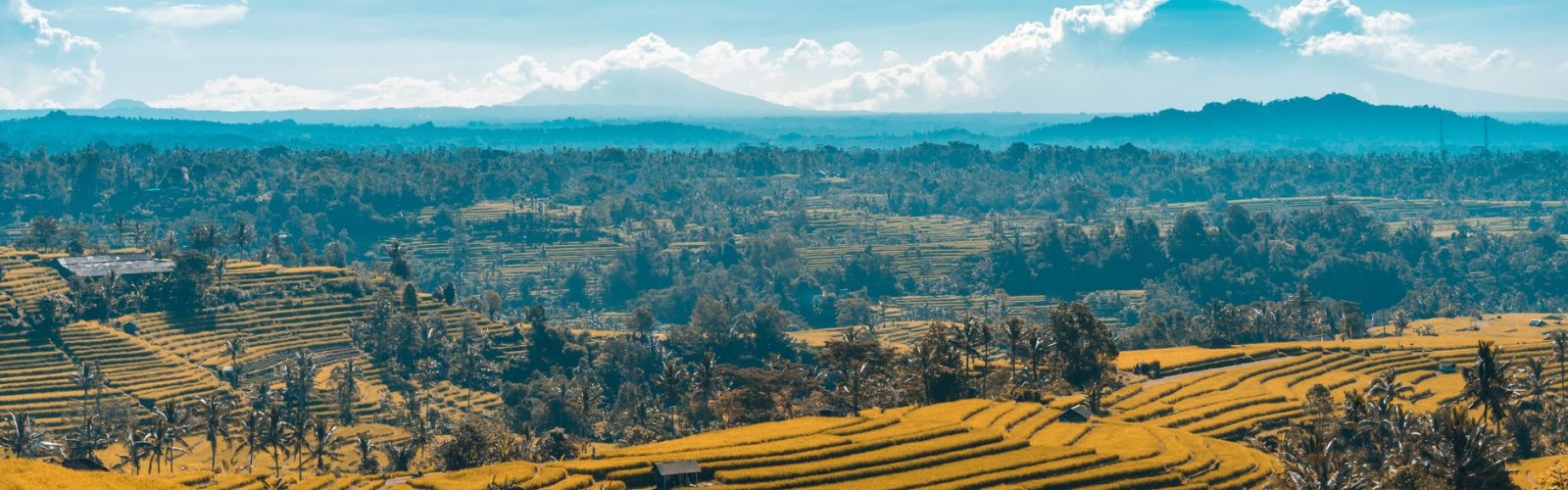 Jatiluwih Rice Terraces