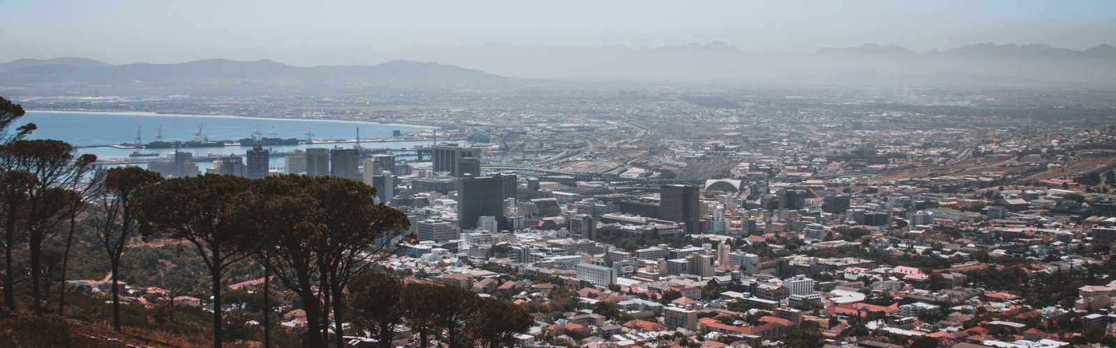 Kirstenbosch Gardens