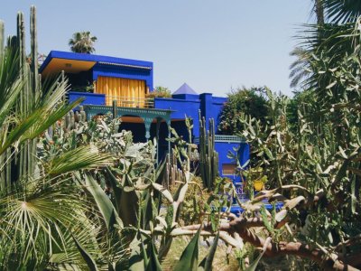 Majorelle Garden