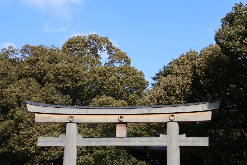 Meiji Shrine at golden hour