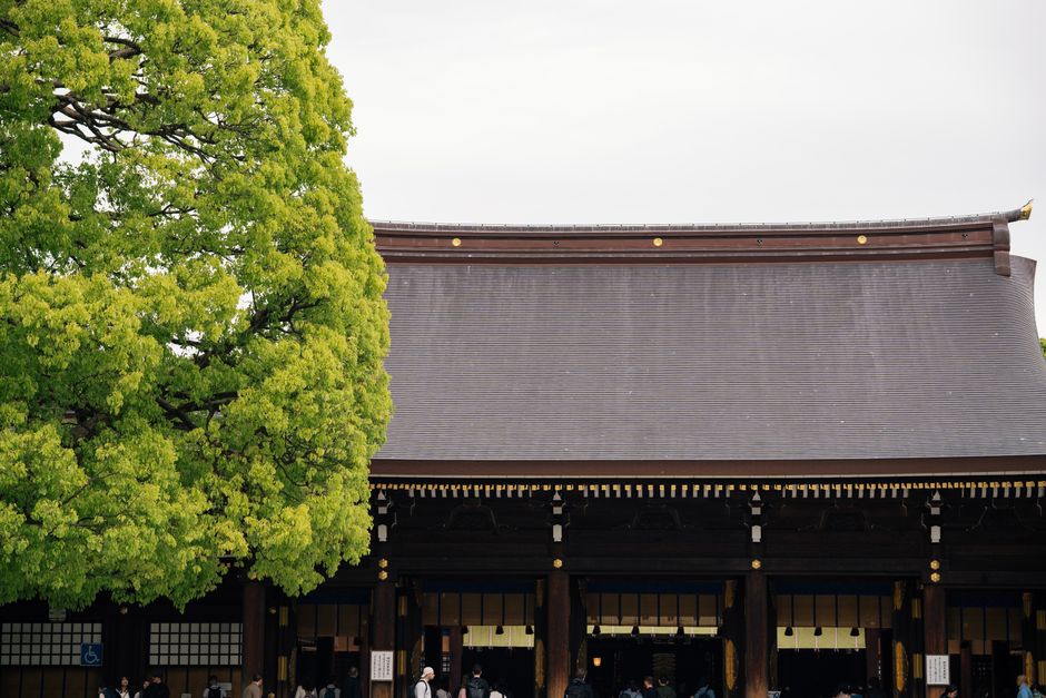 Meiji Shrine main exterior view