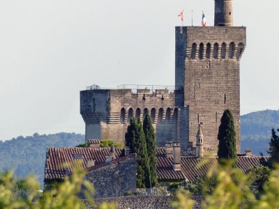 Musée de la Castre