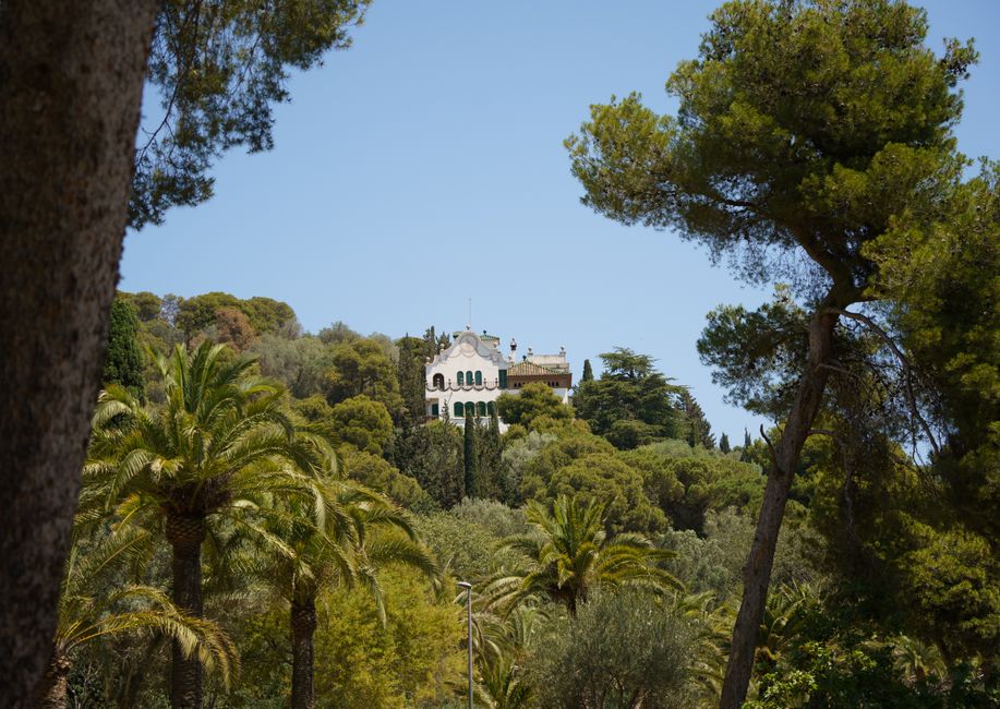 Tickets and entrance at Park Güell