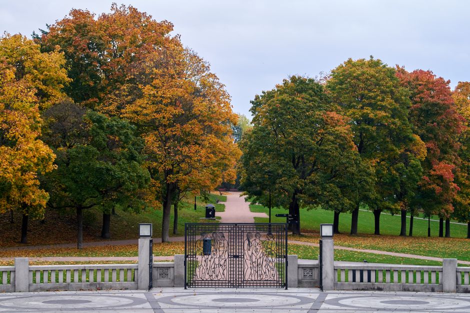 Getting to Petrin Hill in Prague