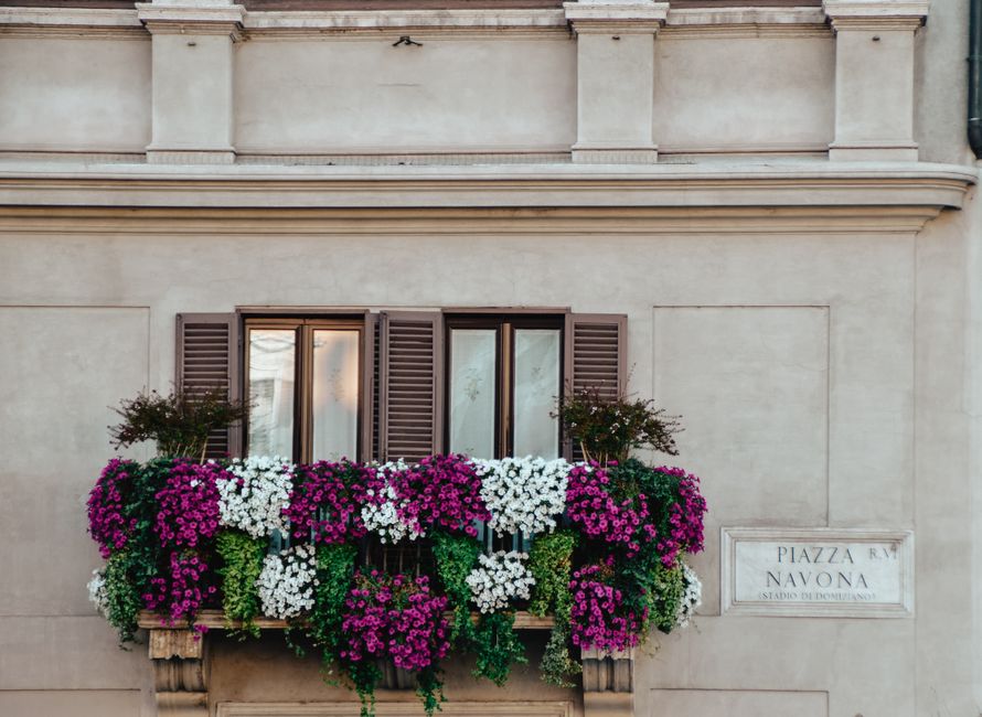 Piazza Navona main exterior view