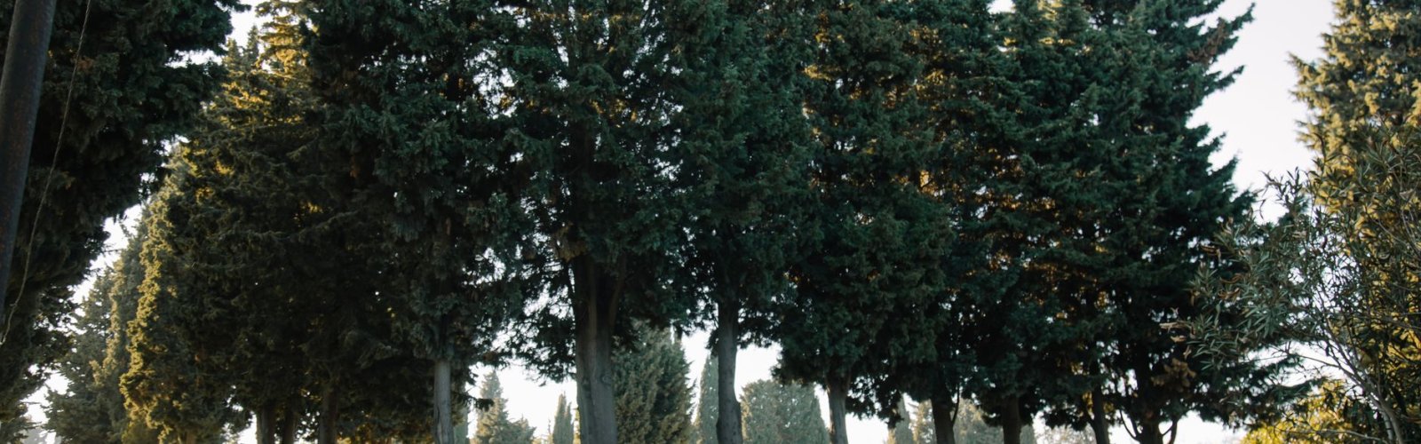 Pierre Loti Hill
