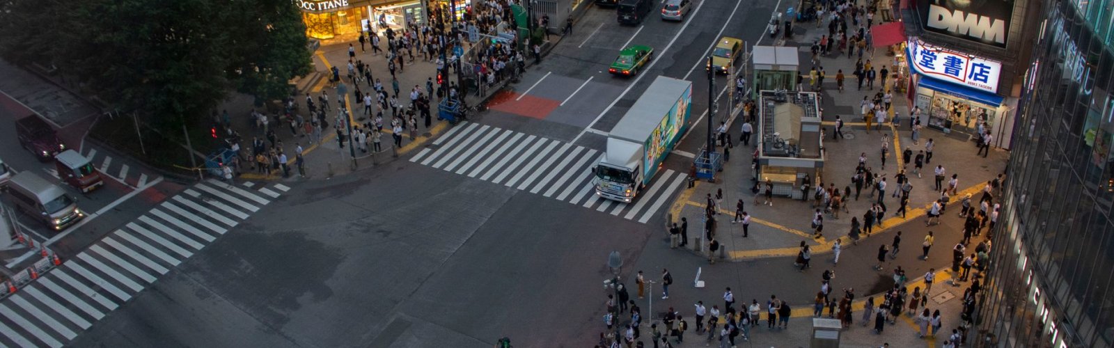Shibuya Crossing