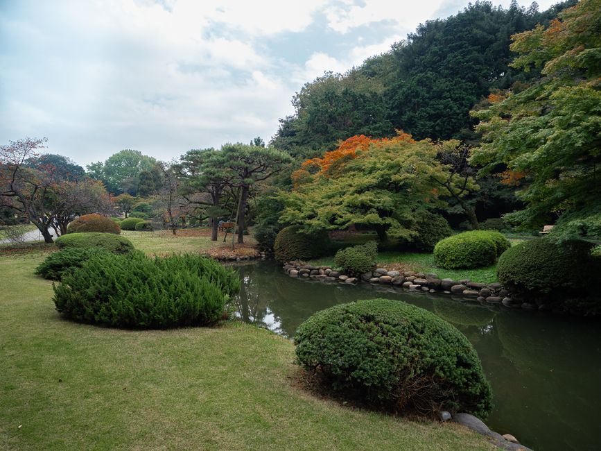 Shinjuku Gyoen at golden hour