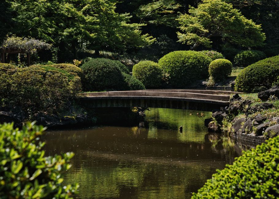 Inside Shinjuku Gyoen