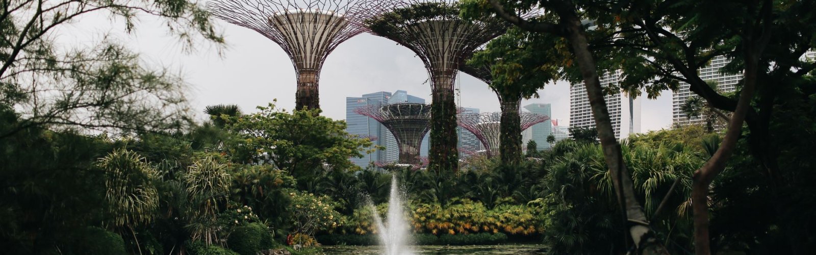 Singapore Botanic Gardens
