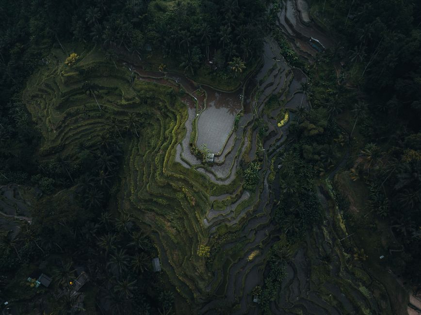 Historic architecture at Tegallalang Rice Terraces