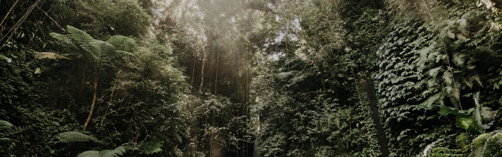 Tegenungan Waterfall