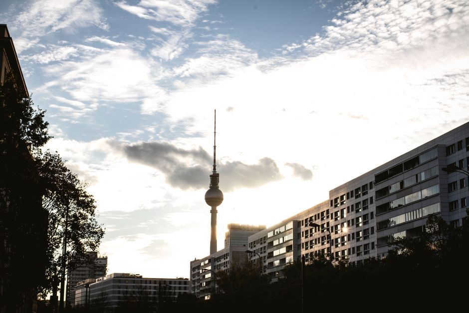 Tiergarten at golden hour