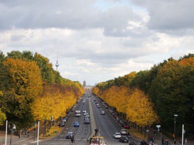 Tiergarten