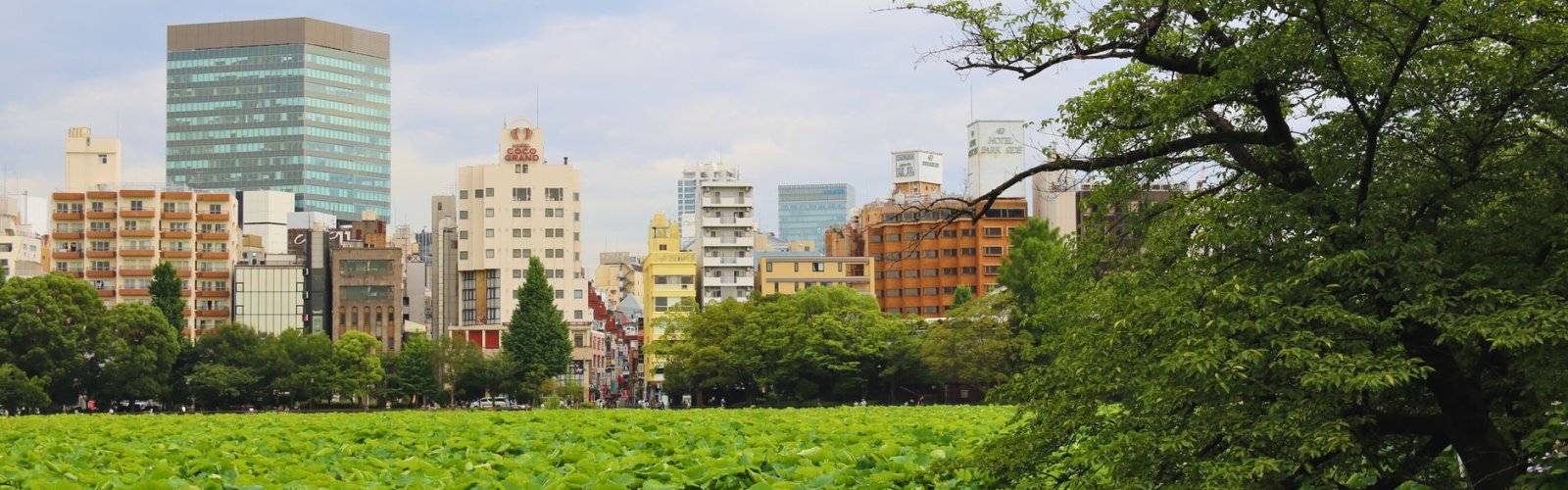 Ueno Park & Zoo