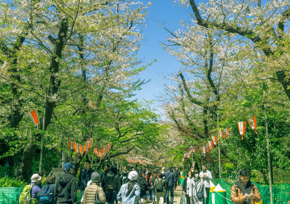 Getting to Ueno Park & Zoo in Tokyo