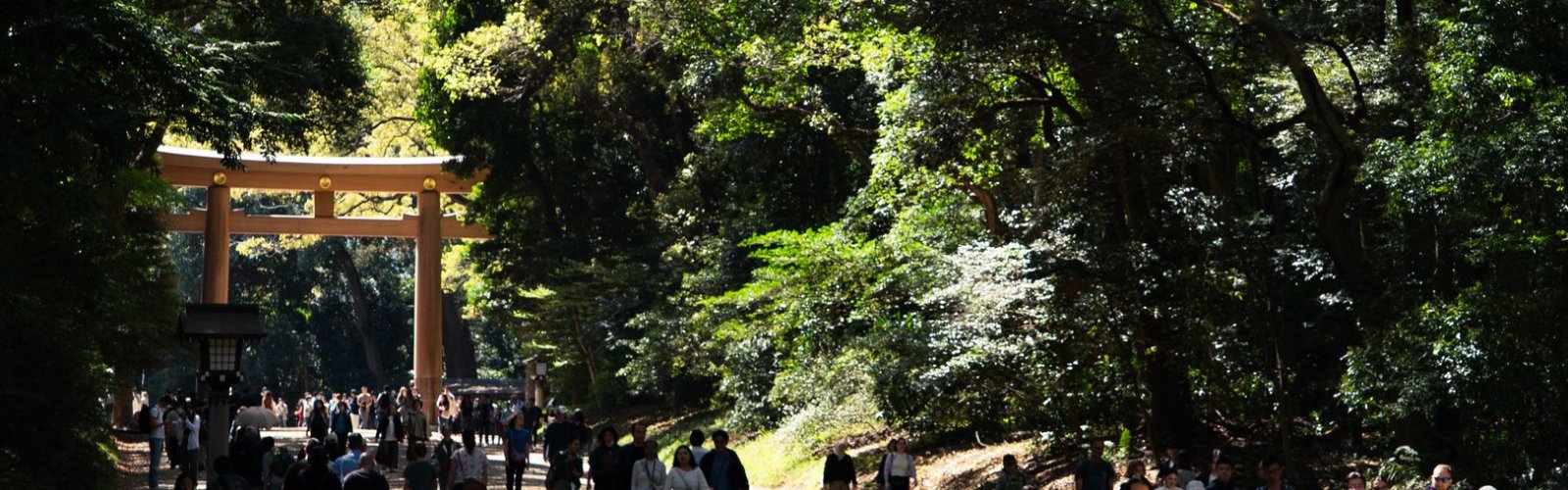 Yoyogi Park